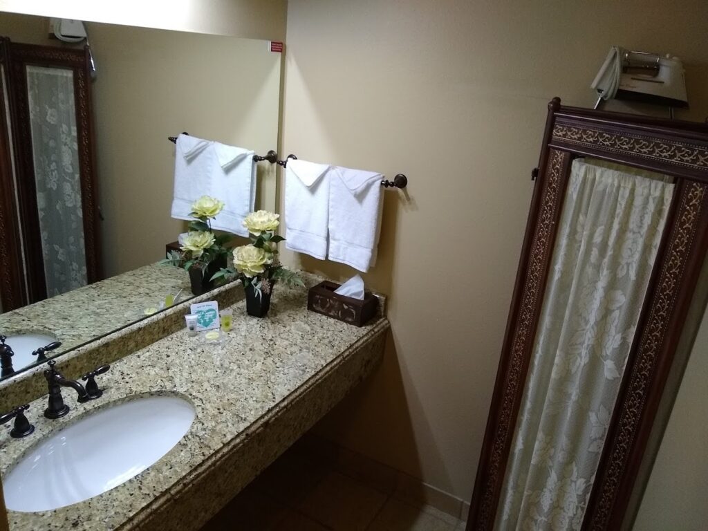 Hotel room toilet