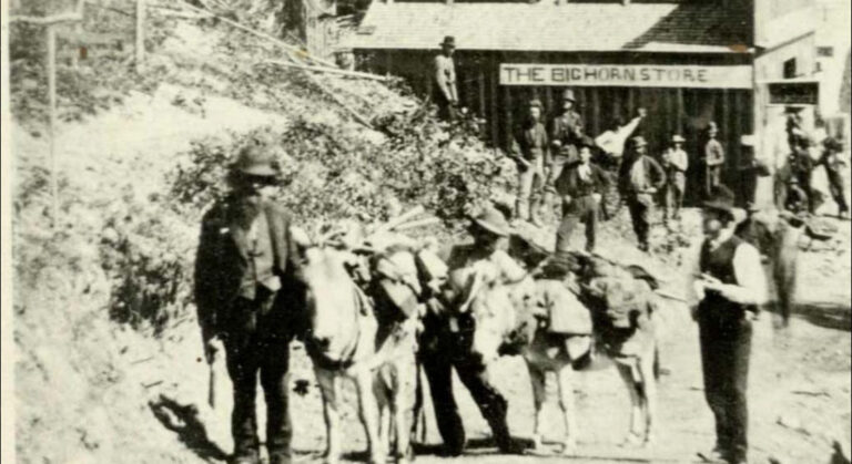 Burros and Deadwood Gulch: Featured Prospector